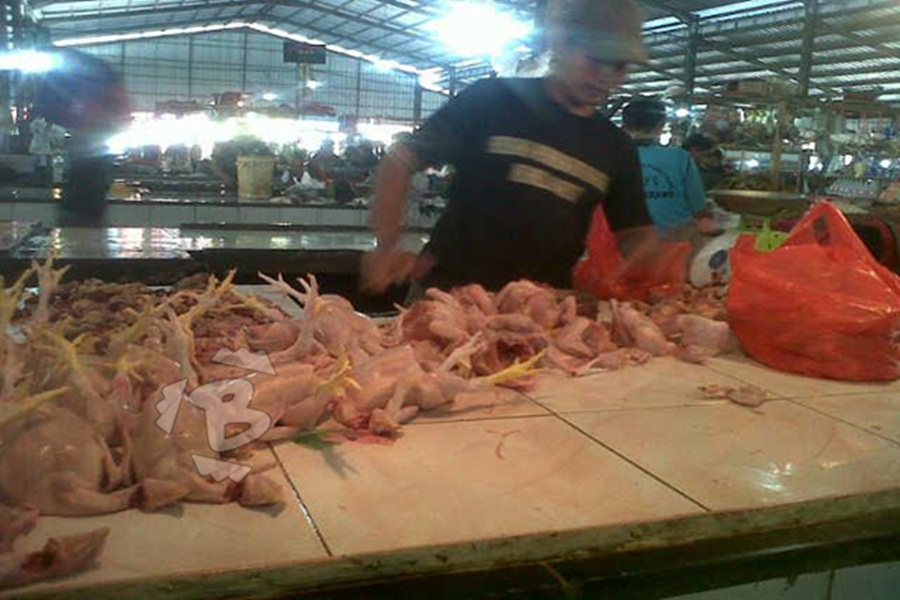 Pedagang Daging Ayam