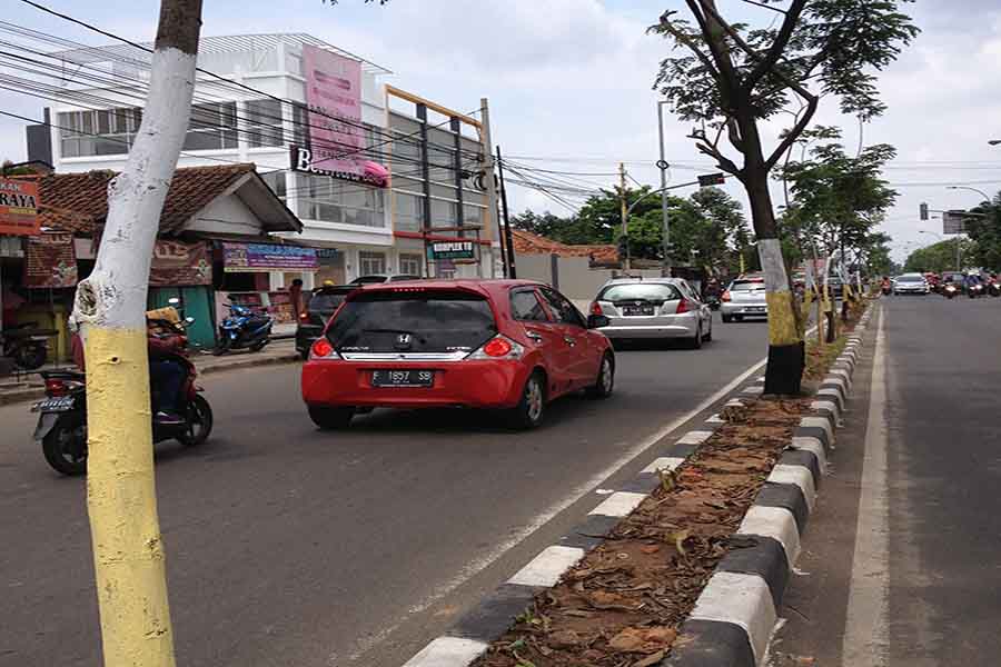 Pohon di Kota Tangerang dicat supaya dapat adipura. Caleg tak boleh pasang APK di pohon