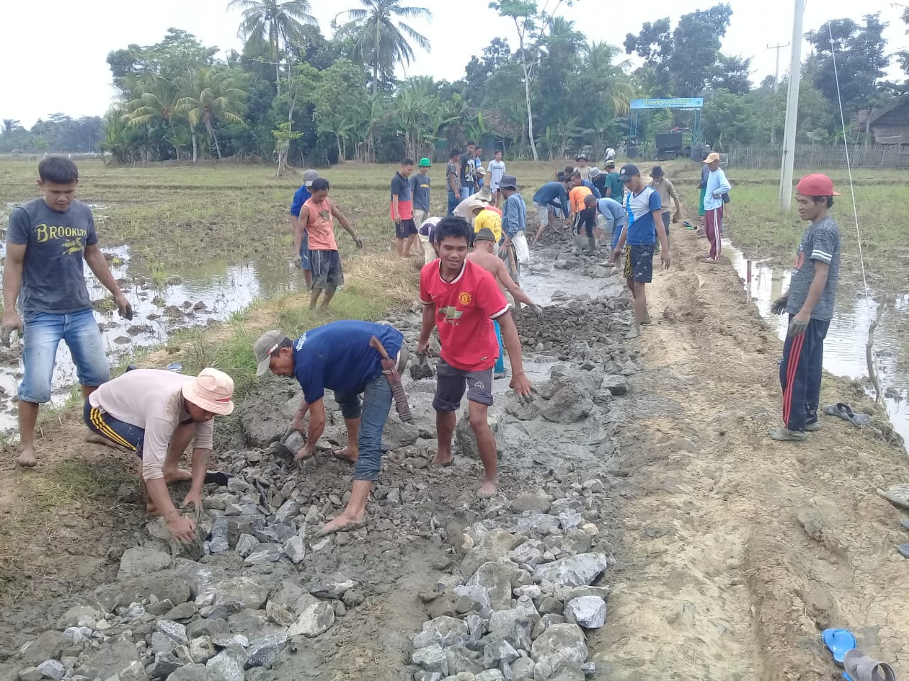 Warga Kecamatan Sindang Resmi Pandeglang Bangun Jalan dari Hasil Patungan