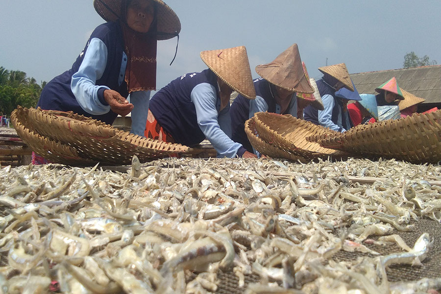 Sentra Pengolahan Ikan Asin di Kecamatan Sumur