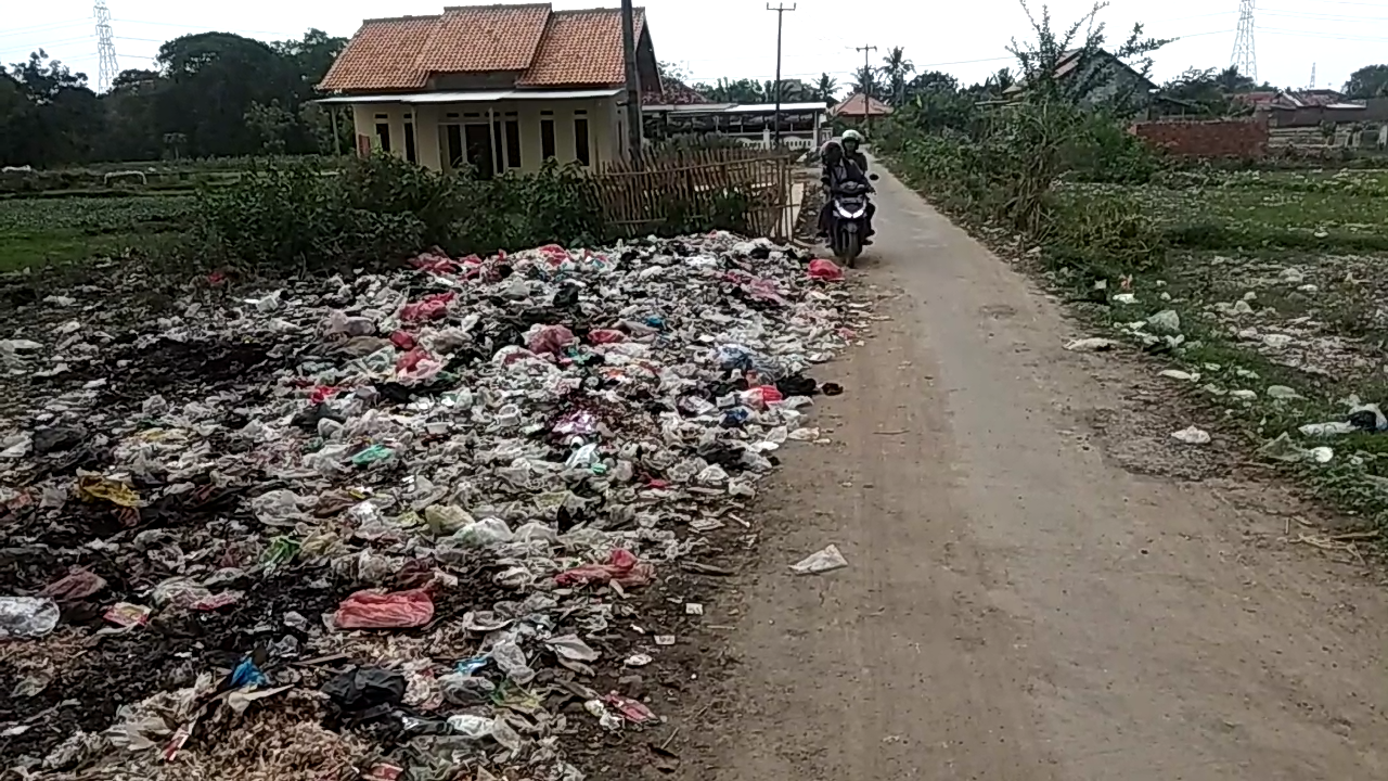 Potret Kampung Kumuh di Warung Jaud Serang, Sampah Menumpuk Menyatu dengan Kotoran Kerbau
