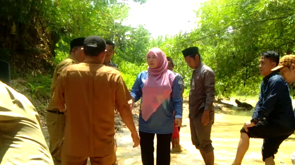 Irna Narulita cek kondisi Sungai Cimoyan